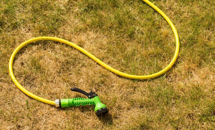"Ein grüner Rasen ist jetzt zweitrangig", so Kaineder. (Foto: Melanie Heitkaemper/stock.adobe.com)