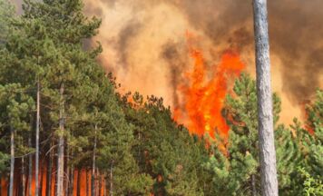Feuerwehr fordert nach Dauer-Waldbrand-Jahr mehr Mittel vom Bund