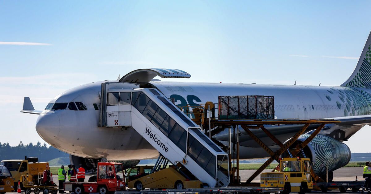 Temporary halt to cattle transports via Linz Airport