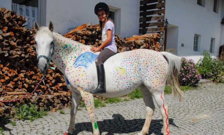 Der Reitclub Gangl Brunnenthal hat für 2015 ein buntes Veranstaltungsjahr geplant.