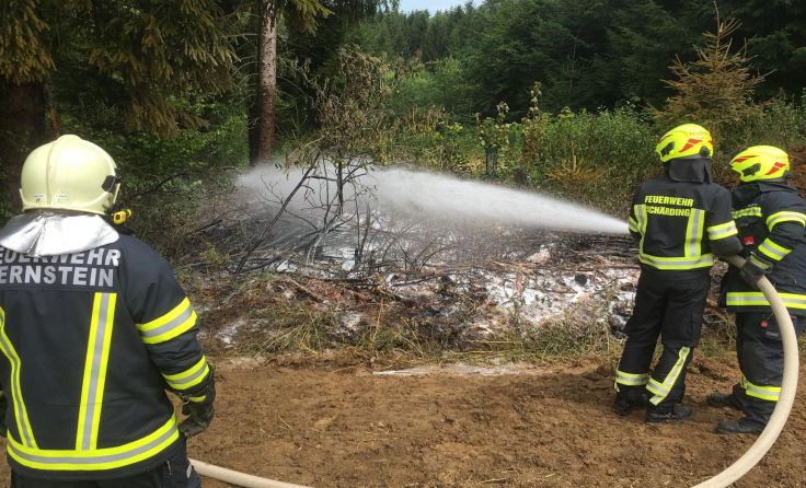 Ein Waldbrand konnte gerade noch verhindert werden. Foto: BFKDO Schärding