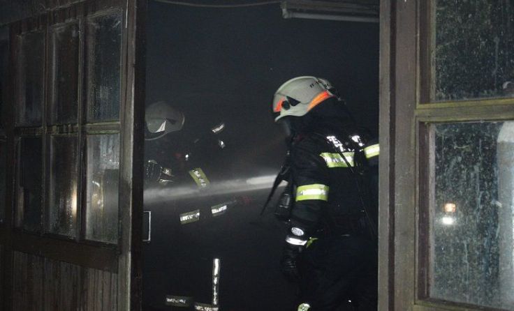 Brand einer Fischerhütte in St. Roman Foto: FF St. Roman