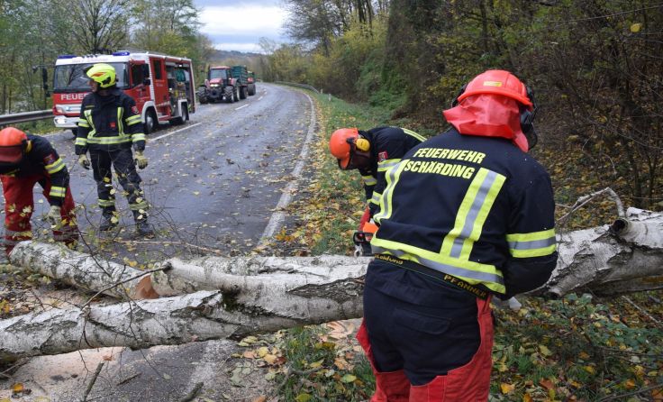 Sturmeinsatz Foto: FF Schärding