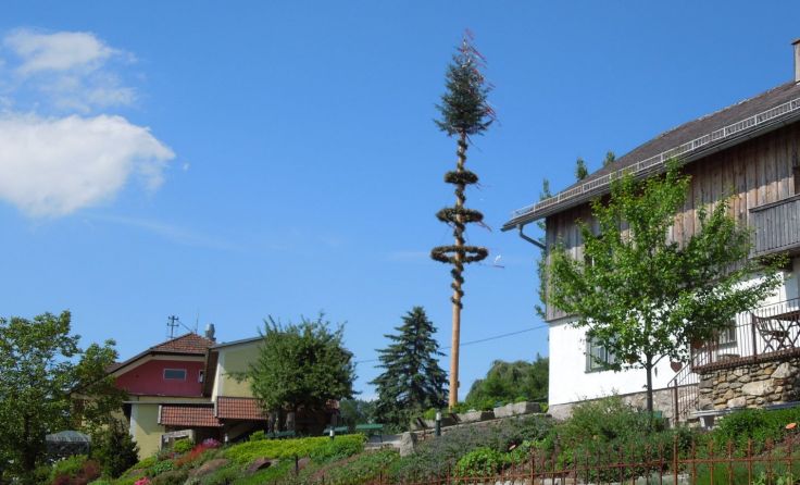 In Kopfing findet ein Maibaumfest statt.