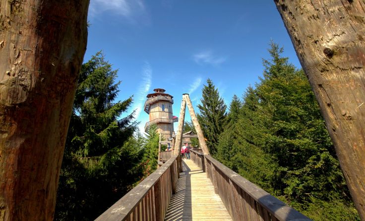 Schauplatz des Romans "Tod im Innviertel" ist der Baumkronenweg in Kopfing. Foto: Weihbold