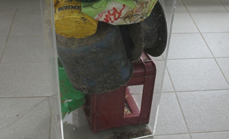 Die Verschmutzung der Gewässer wird am Rechengut der Kraftwerke sichtbar.
