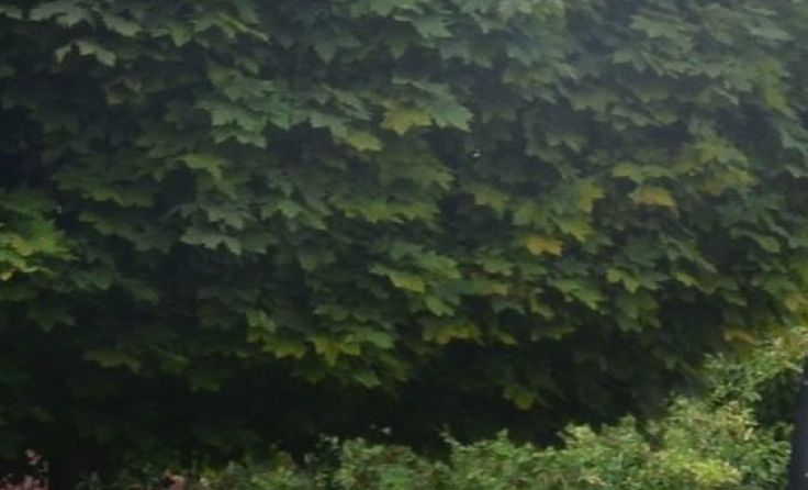 Foto: FF Andorf 