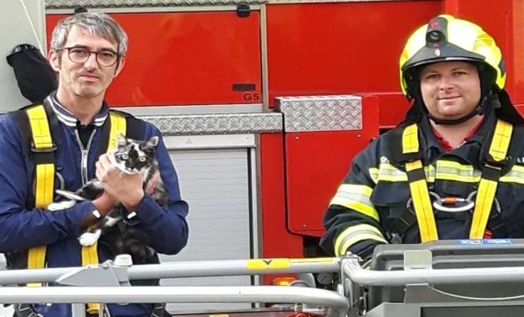 Die Katze konnte erfolgreich vom Baum geholt werden. Foto: FF Engelhartszell