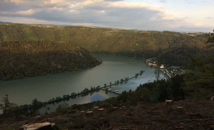 Aufgrund der Holzschlägerungen hat man nun einen schönen Blick ins Donautal. Foto: Walter Humer
