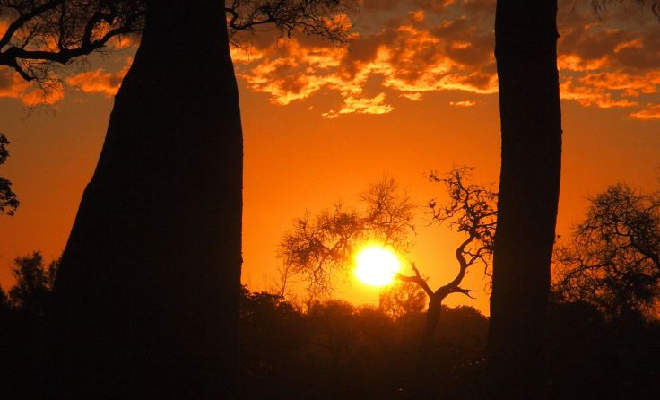 Sonnenuntergang in Madagaskar Foto: Berger