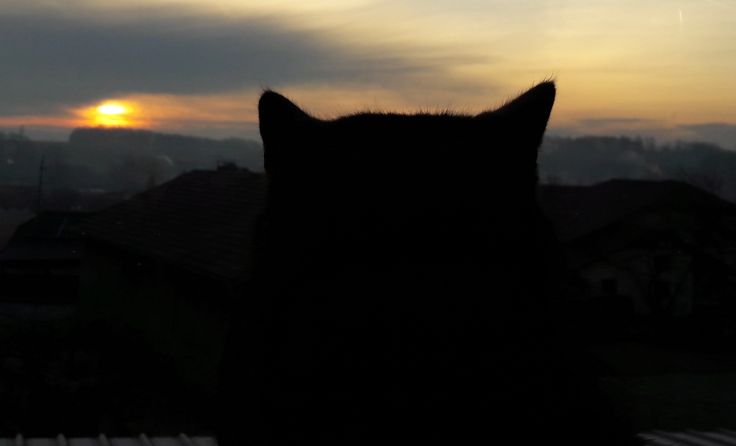 Foto: privat