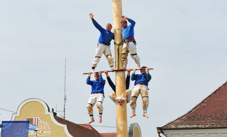Waghalsige Maibaumkraxler (Foto: H. Berndorfer)