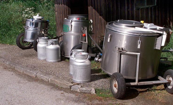 Am 1. Juni dreht sich in Schärding alles rund um das Thema Milch. (Foto: Wodicka)