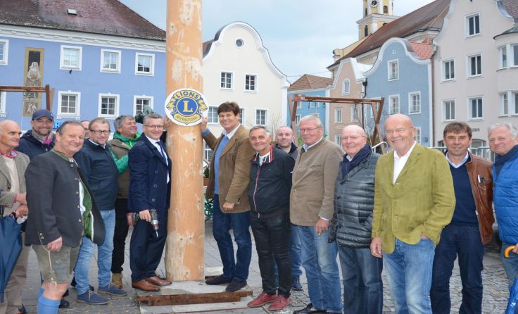 Der heurige Schärdinger Maibaum kommt aus Kopfing. (Foto: Stadtgemeinde Schärding)