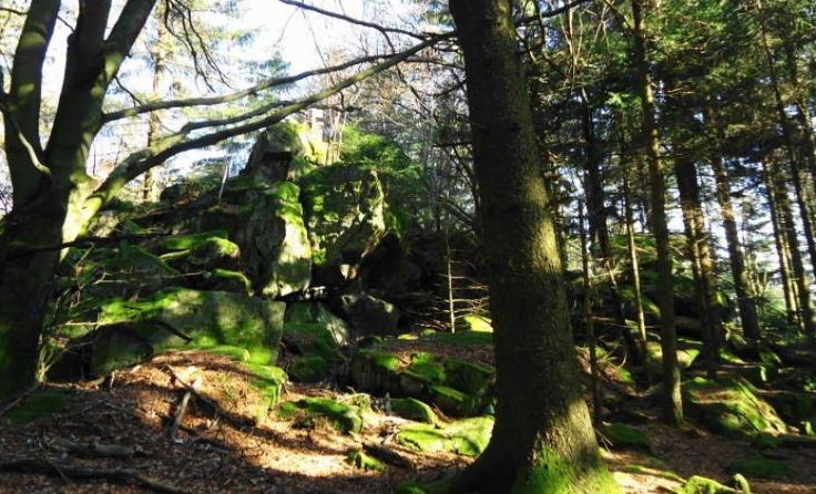 Inmitten der Natur, am Haugstein, findet am 25. Mai eine Bergmesse statt. (Foto: KBW Schärding)