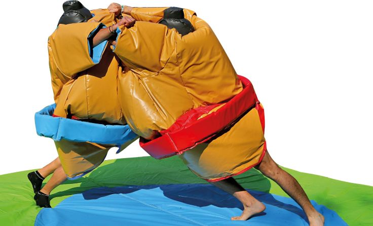 Beim SPÖ-Sommerfest findet ein Sumowrestling-Turnier statt. (Foto: ASKÖ)