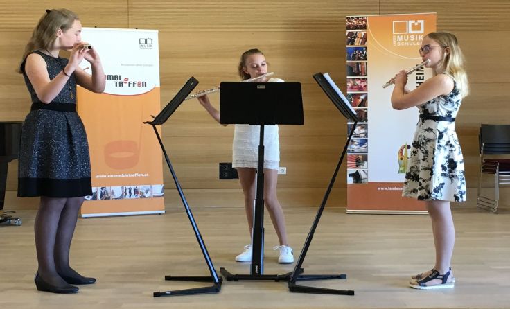 Im Rahmen eines Konzertes beweisen die Musikschüler ihr Können. (Foto: LMS Schärding)