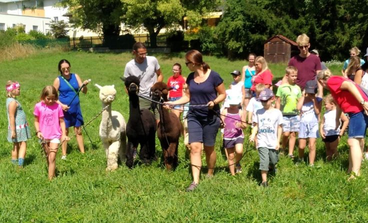 Die Wanderung mit den Alpacas machte großen Spaß. (Foto: Kinderfreunde Schärding)