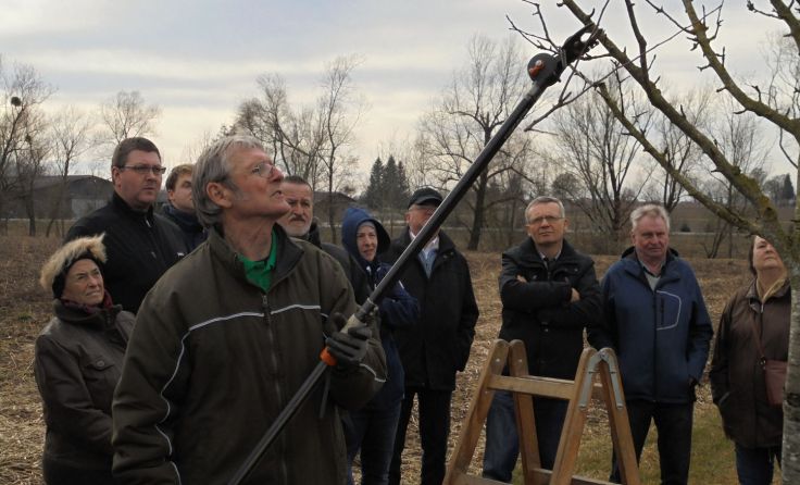 Im Zuge des Frühschoppens findet auch ein Baumschnittkurs statt. (Foto: privat)