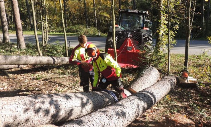 In Otterbach startet im September ein neuer Abendschullehrgang. (Foto: LFS Otterbach)