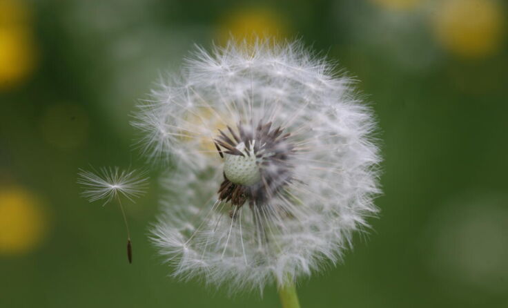  (Foto: Eva-Maria Dullinger)