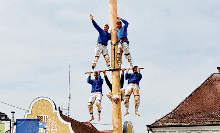 Die „Sauwaldkraxler“ zeigen ihr beeindruckendes Können (Foto: privat)