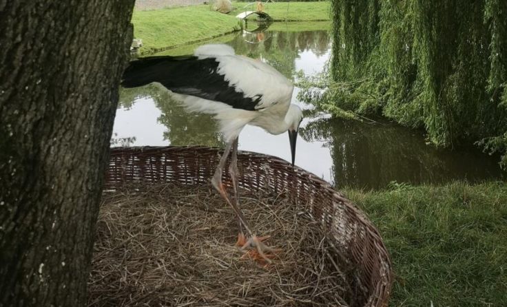  (Foto: privat)