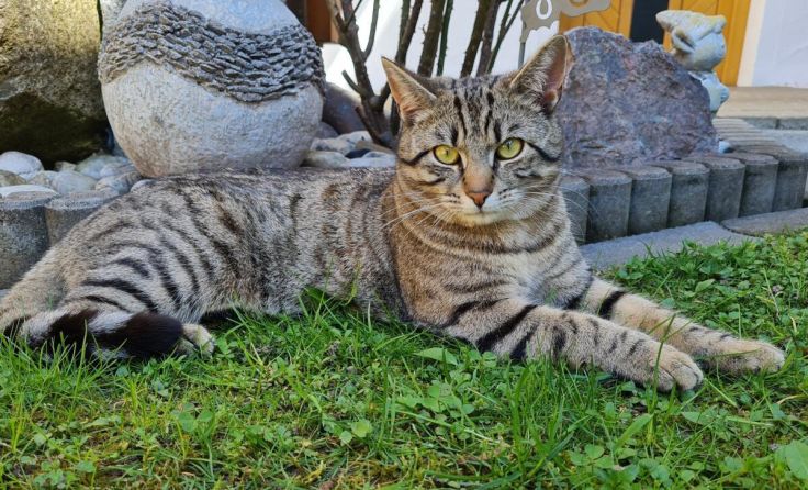  (Foto: privat)
