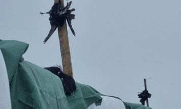 Tote Krähen bei Siloballen: Aufregung in Gaspoltshofen