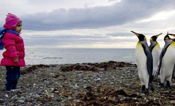 Der Ruf der Wildnis im Spielraum Gaspoltshofen