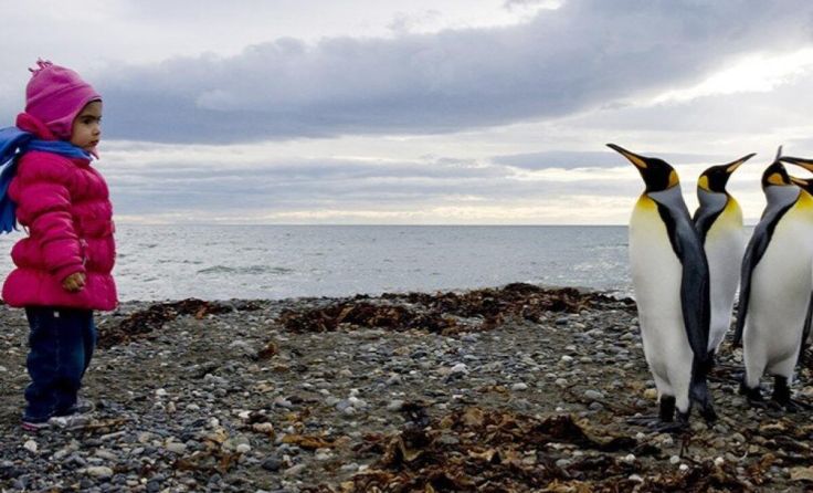 Eindrücke aus Patagonien (Foto: Sieböck)