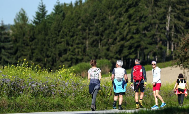 Die Gesunde Gemeinde lädt zum Wandern ein. (Foto: Weihbold)