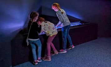 Supergalaktisches Familienwochenende im Schloss Peuerbach