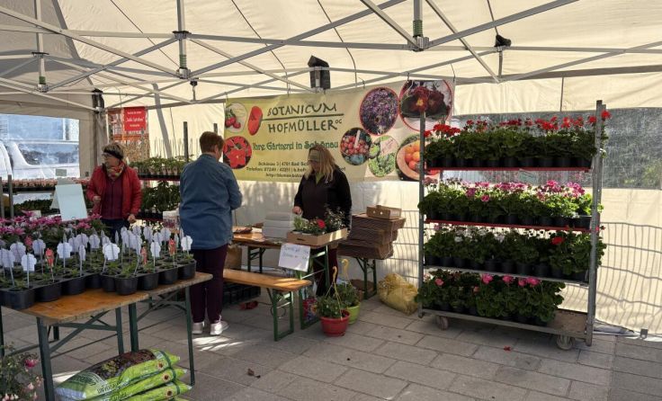Vor Ort wurden Blumenkästen bepflanzt. (Foto: Marktgemeinde Wallern)