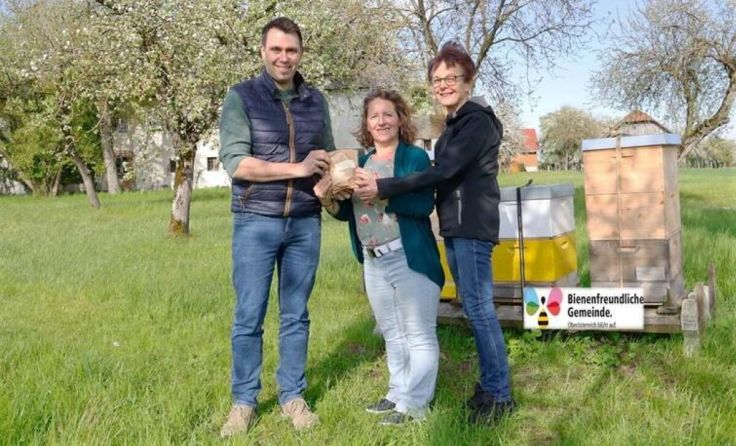 Bienenfreundliche Gemeinde (Foto: Schrödl)