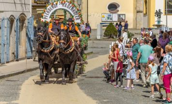 75 Pferde beim traditionellen Markt in Peuerbach