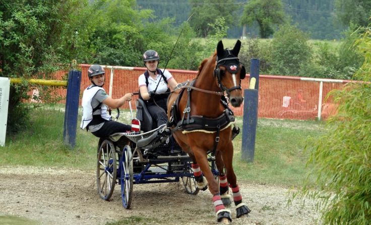 Andrea Schöftner (Foto: Sonja Bauer)