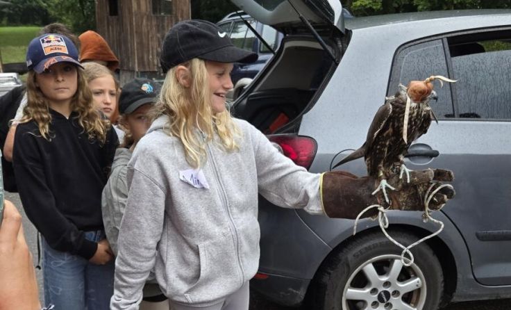 Falkenvorführung (Foto: Jägerschaft Hartkirchen)
