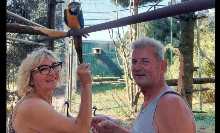 Rosa und Alois Pötzlberger (Foto: Tips)