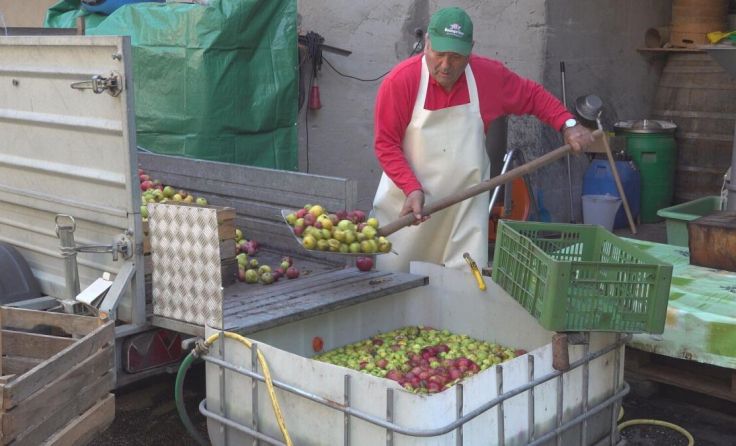 Obstwäsche vor dem Pressen (Foto: Schatzl)