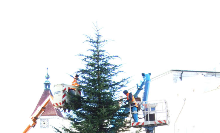O Tannenbaum, O Tannenbaum: Vor den vielen Autos und dem Rathaus sieht man ihn kaum.....