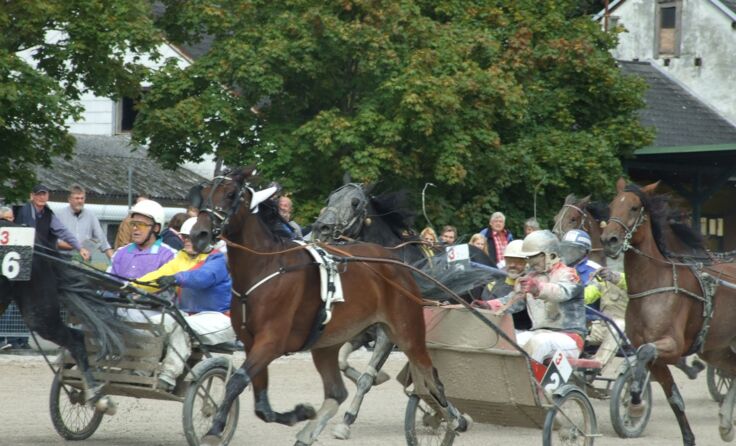 Der Zieleinlauf. Schachinger vor Maier-Kern