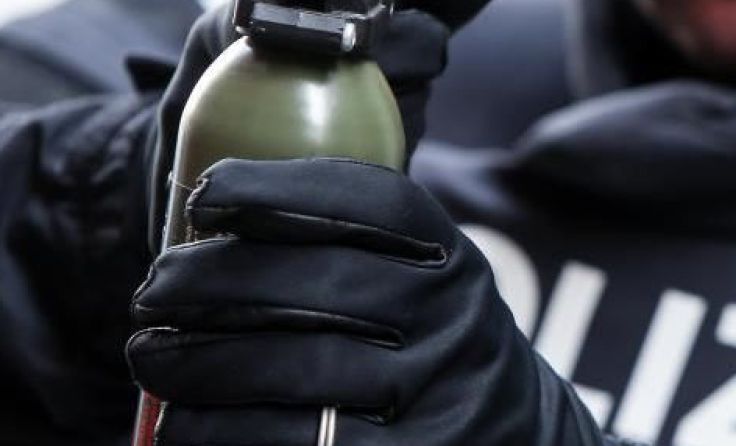 Die Beamten mussten gegen den Boxer Pfefferspray einsetzen. Foto: Weihbold