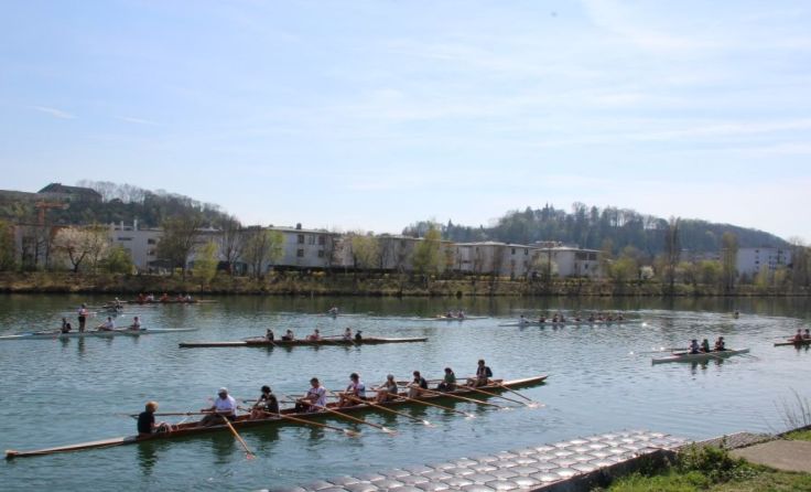 Die Welser Ruderarmada im Einsatz.