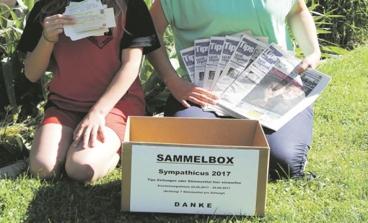 In Stadl Paura werden Sammelboxen aufgestellt.