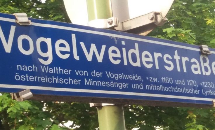 Die Vogelweiderstraße ist an der Belastungsgrenze angelangt.