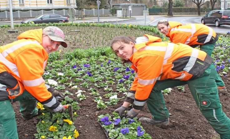 Es wird emsig gepflanzt von den Mitarbeitern. Foto: Stadt Wels