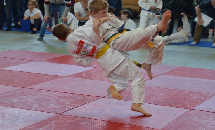 Florian Hochhauser wirft seinen Gegner. Fotos: LZ Multikraft Wels