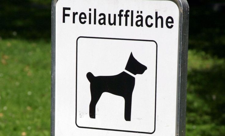 Es darf in Marchtrenk wieder frei gelaufen werden. Symbolfoto: Wodicka