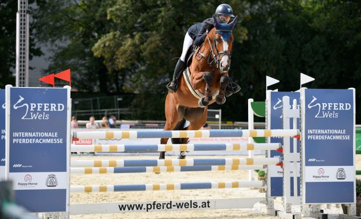 Mit der Pferd Wels geht es wieder los im Mai. Foto: Messe Wels